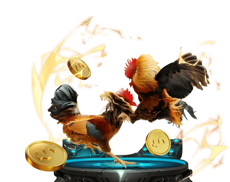 Người chơi đang nghiên cứu chiến lược cá cược trên máy tính tại sss666 game